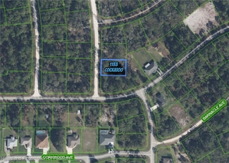 1133 Cockatoo Ave, Lake Placid, FL 33852