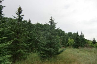 5 Ac S Limits Rd, Endeavor, WI 53930