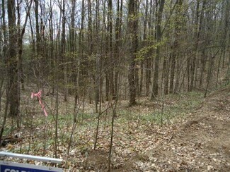 2279 Northerlyview Trail, Vanderbilt, MI 49795