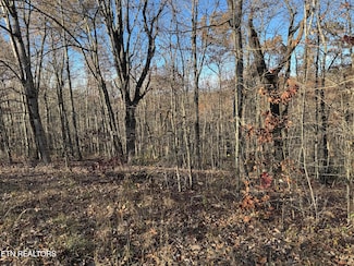 0 Bent Tree Rd Unit 1282416, Monterey, TN 38574