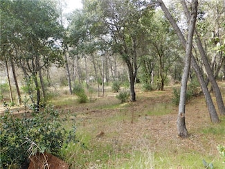 5834 Spruce Ave, Clearlake, CA 95422