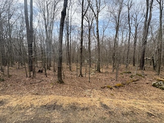 34 Tuscarora Trail, Pocono Springs, PA 18424