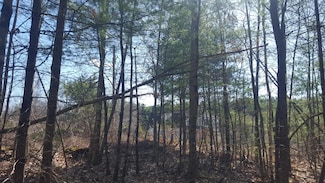 79 Mitchell Hill Rd, Gorham, ME 04038