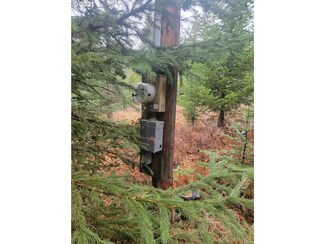 78520 Basket Mountain Rd, Weston, OR 97886