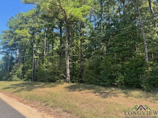 TBD Farm To Market 349, Kilgore, TX 75662