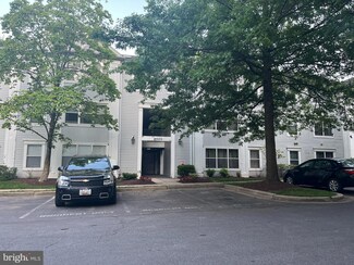 14203 Woolen Oak Ct Unit 10, Silver Spring, MD 20906