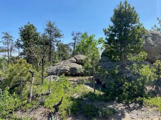 1118 Copperdale Ln, Coal Creek, CO 80403