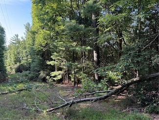 00 Timber Ridge Rd, Millers Creek, NC 28651