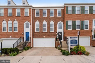 8234 Red Carnation Ct, Lorton, VA 22079