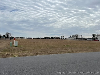 284 Rocking Horse Ln, Five Points, NC 28376