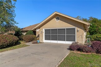 3 Begonias Ct, Homosassa, FL 34446