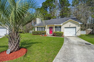 101 Birkdale Ct, Charleston, SC 29414