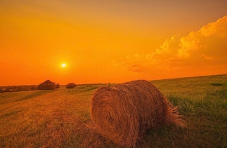 1007 Bypass Hwy N, Lawrenceburg, KY 40342