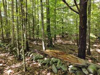 TM 55-2-5 Middle Rd, Center Tuftonboro, NH 03816