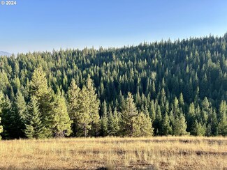 0 Craigs Cabin Rd Unit 24043865, Elgin, OR 97827
