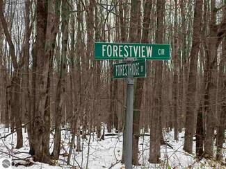 LOTS 341, 342 Forestview Cir, Hayes Township, MI 49730