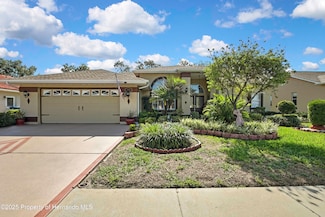 1086 Hook Dr, Spring Hill, FL 34608