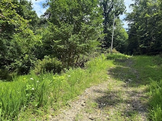 24 Copperhead Rd, Cana, NC 27317