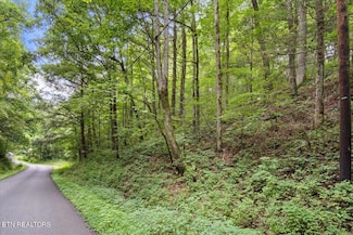 0 Melvin Hollow Rd Unit 1271460, Pioneer, TN 37847