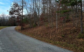 LT 32 Ivy Log Estates Rd, Blairsville, GA 30512