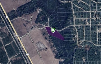 XXX Kingston Blvd, Satsuma, FL 32189