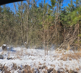 2.5 AC Blundon Rd, Reedville, VA 22539