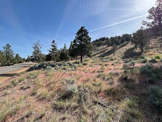 Unit 9-1 Lot 24 Mountain Wood Dr Unit 9-1, Weed, CA 96094