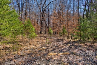 0 Cinnamon Ridge Unit 404 CAR3897469, Rutherfordton, NC 28139