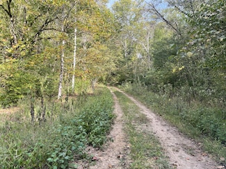 1 Jones Hollow Rd, Lawrenceburg, TN 38464