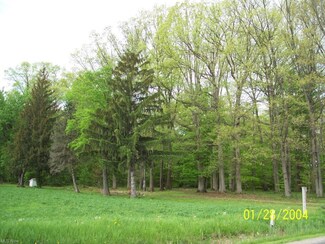 4319 Steiner Rd, Creston, OH 44217