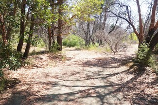 250 Bear Springs Rd, Junction City, CA 96048