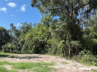 115 Roddy Ln, Palatka, FL 32177