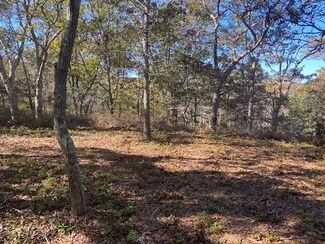 68 Capawock Rd, West Tisbury, MA 02568