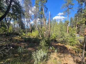 208 Horseshoe Dr, Hathaway Pines, CA 95247
