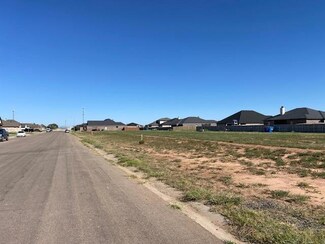 313 Cowboy Ln, Wolfforth, TX 79382