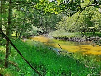 VL 10 Acre James Rd, Baldwin, MI 49304