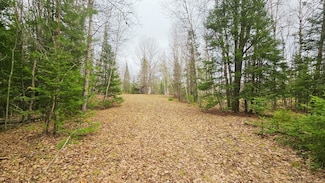 853 Calderwood Lot D Rd, Trout Creek, MI 49967