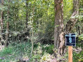 84 Sunset Bluff Way, Monteagle, TN 37356