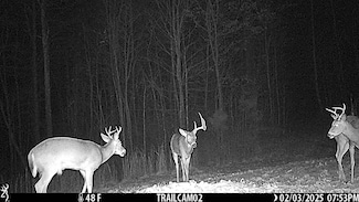 63 Ac Old Dixie Hwy, Horse Cave, KY 42749