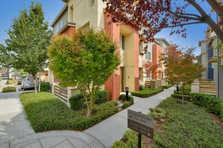 1076 El Capitan Terrace, Sunnyvale, CA 94085