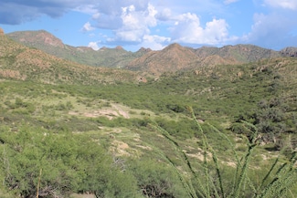 0 Winery Springs Dr, Rio Rico, AZ 85648