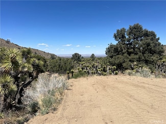 0 Evergreen Rd Unit HD25097586, Pinon Hills, CA 92372