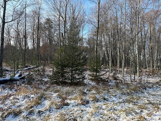 0 Jankowski Rd Unit 50284753, Crivitz, WI 54104