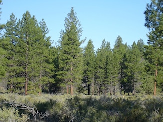 0 20 Acres Off Technor Robison Rd Unit 20250909, MacDoel, CA 96058