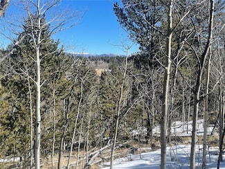 83 Killdeer Trail, Como, CO 80456