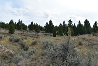 TBD Indian Paintbrush Rd, Rocker, MT 59701