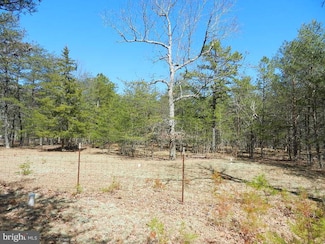 152 Patty Bowker Rd, Tabernacle, NJ 08088
