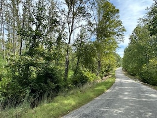 TRACT 6 Butler Rd, Pinson, TN 38366