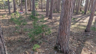 3823 County Road 17, Pequot Lakes, MN 56472