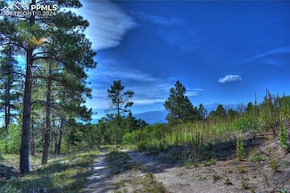 12760 Bridle Bit Rd, Colorado Springs, CO 80908